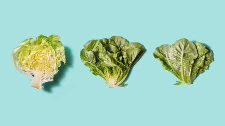 Set of halved cabbage and fresh green lettuce on a blue background with copy space. Diet food. Flat layの写真素材