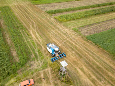 Panoramic aerial view from the drone of the field after harvest. The combine harvester reaps a crop...