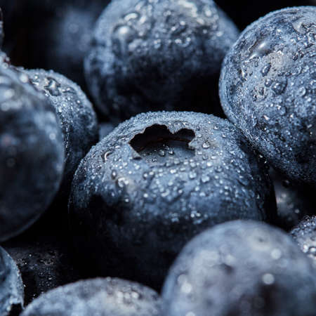 Fresh sweet berries for cooking fruit pie. Close-up of berries in a droplets with soft focus.の写真素材