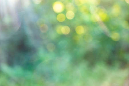 Green spring blurred background with yellow bokeh circles. Natural layout.