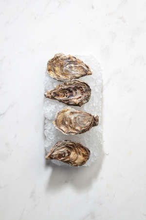 Fresh raw oysters offered on crushed ice on a marble white background with copy space.