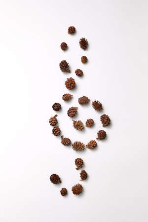 Composition of pine cones in the form of a treble clef on a gray background with copy space. Creative natural pattern as a layoutの写真素材
