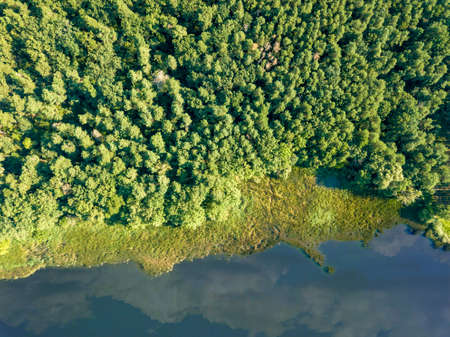 Beautiful aerial view of the drone on the river and the green forest on a sunny day. Natural backgroundの写真素材