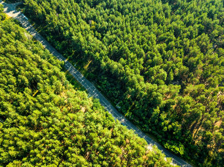 Foliage green forest with asphalt road on sunny day, natural beautiful background. Aerial view from the droneの写真素材