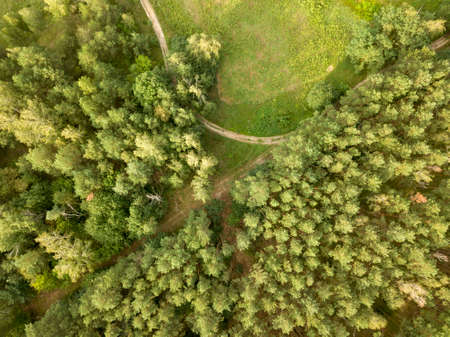 Top view of the winding road through the woods on a summer afternoon. Aerospace with a drone as a...