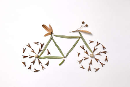 Pattern of leaves and pine seeds in the form of a bicycle on a gray background with copy space. Healthy lifestyle concept. Flat layの写真素材