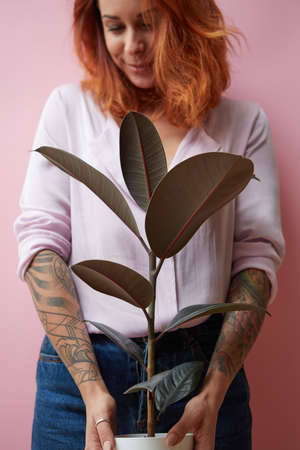 A smiling girl with a tattoo holds a pot with a ficus flower around a pink background with copy space. Mothers Day Gift Conceptの写真素材