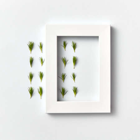 Froral composition with fresh needles and white frame on a light background.