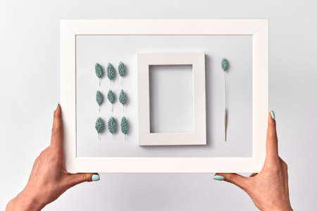 Creative herbal picture with empty frame in a womans hands on a light background.の写真素材