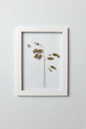 Floral frame with natural organic leaf on a light background.の写真素材