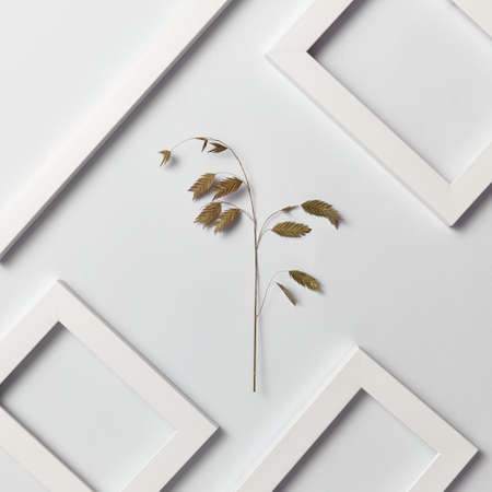 Creative pattern with natural herbal branch and empty frames on a light background.の写真素材