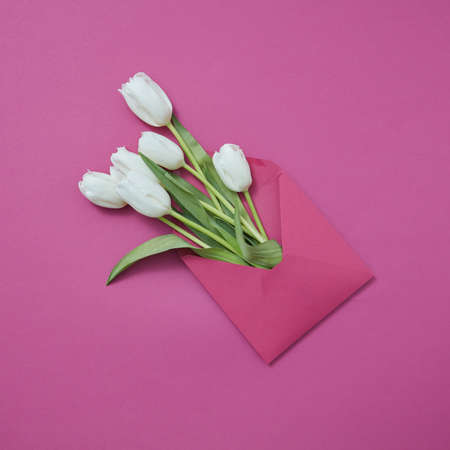 Handmade envelope with fresh white tulips on a magenta background.の写真素材
