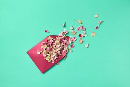 Flowers petals in purple envelope on a light turquoise background.の写真素材