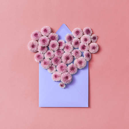 Hardy chrysanthemums heart with envelope for post card on a pastel background.