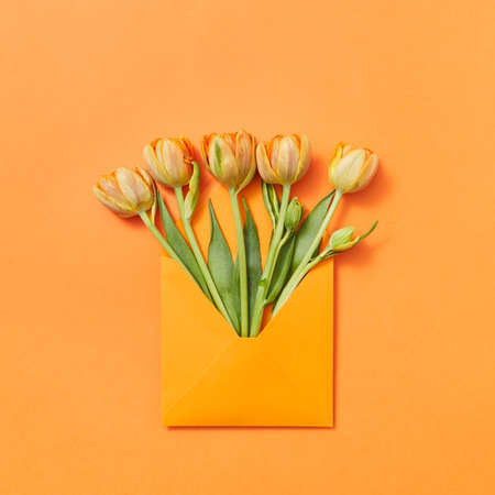 Fresh spring tulips as a gift in a craft envelope on an orange background.の写真素材