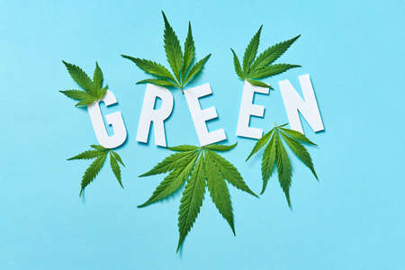 White paper word Green with marijuana leaves on a pastel blue background.の写真素材