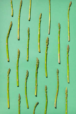 Fresh organic asparagus pattern on a pastel green background.の写真素材