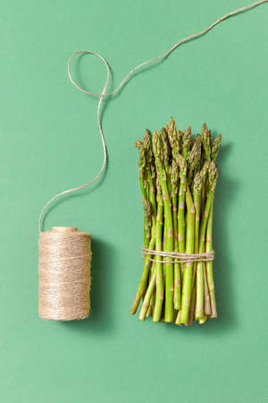 Organic natural asparagus in a bundle and coil of rope on a green background.の写真素材