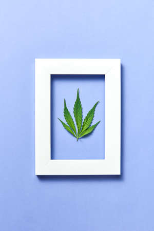 Decorative rectangular handmade frame with green fresh marijuana leaf on a pastel lavender background, copy space. Flat lay.の写真素材