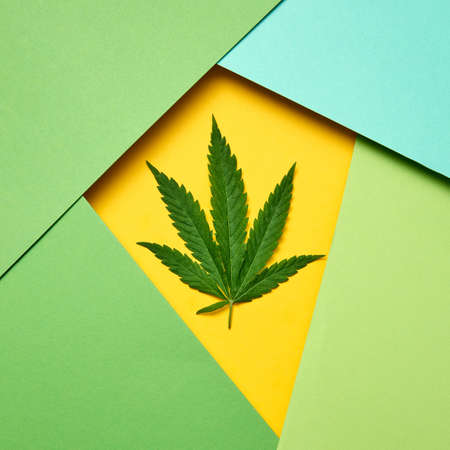 Paper multicolored frame of green natural marijuana leaf with copy space. Concept use of marijuana for medical puposes.の写真素材