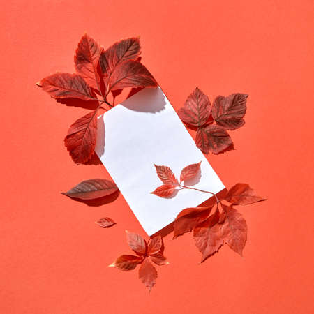 Festive handmade fall composition of blank card and red colored leaves on a coral background copy...