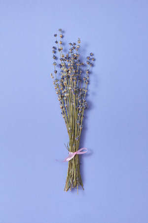 Decorative branch of dry natural lavender flowers on the same color background with soft shadows, place for text. Flat lay.の写真素材