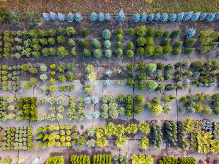 Aerial view from drone above green colored garden center with different plants, trees and bushes....