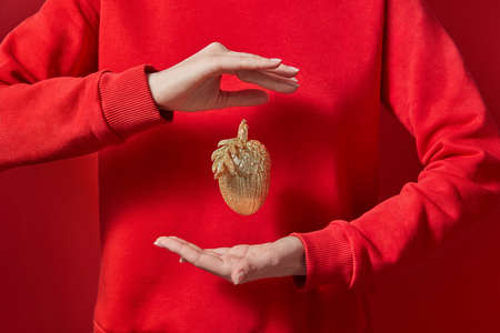 Woman in a red sweatshirt holds beautiful eco Christmas decor golden acorn in hr hands on the same...
