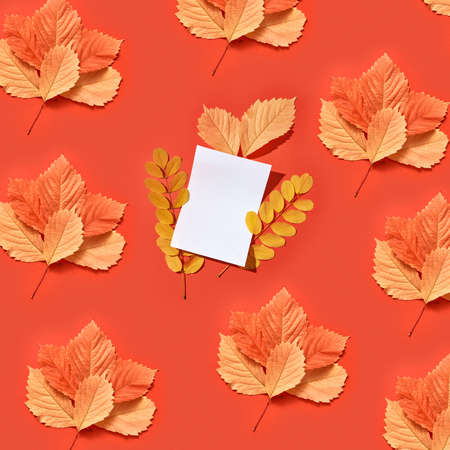Congratulation fall pattern with blank white card and multicolored organic leaves on a coral...