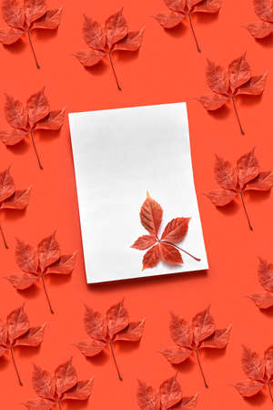 Congratulation autumn card with leaves.