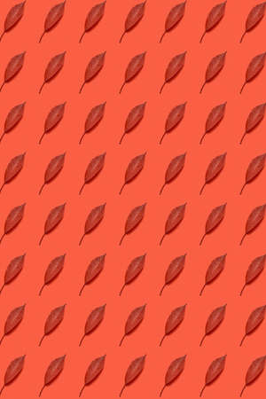 Red colored autumn leaf vertical pattern.の写真素材