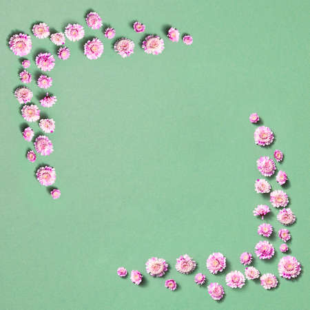 Square blooming flowers frame for congratulation.の写真素材