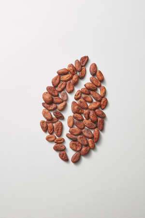 Big coffee bean made from fresh dry organic cocoa peas on a light grey background on a light grey background, copy space. Flat lay.の写真素材