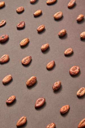 Organic cocoa beans pattern on a brown background.の写真素材