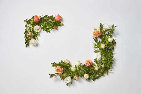 Festive corner frame with evergreen branches of boxwood with coral roses flowers on a light grey background, place for text. Flat lay. Valentine's Day greeting card.の写真素材