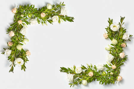 Plant corner frame from evergreen twigs and flowers.の写真素材