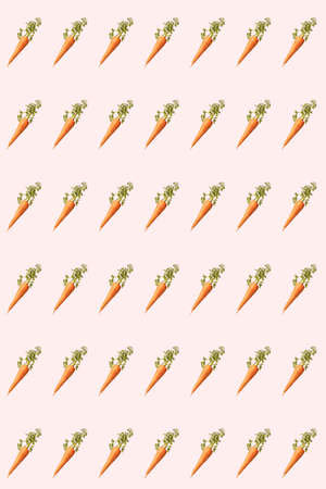 Organic vegetarian pattern from fresh carrotsの写真素材