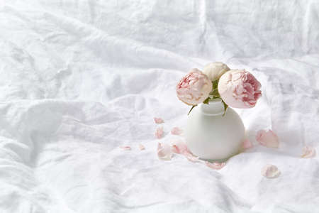 Vase with fresh roses on crumpled sheets.の写真素材