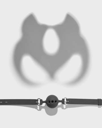 Shadows of cat mask and ball gag.の写真素材
