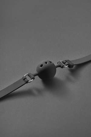 Fetish attribute BDSM ball gag.の写真素材