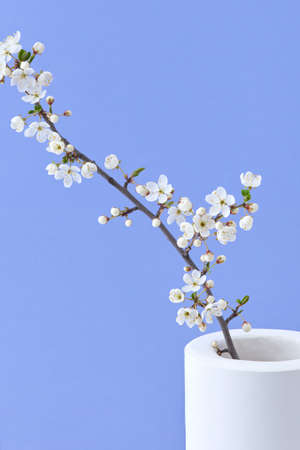 Spring card with close-up ceramic vase and blooming cherry twig.の写真素材