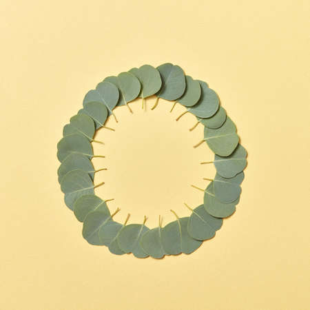 Round frame from evergreen small leaves of Eucalyptus on a sand yellow background.