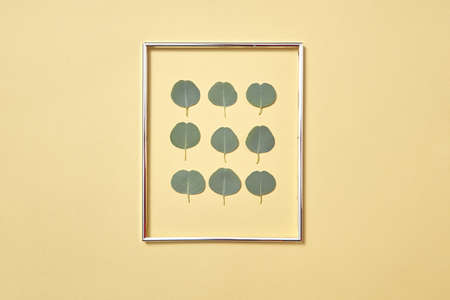 Photo frame with Eucalyptus plant leaves pattern on a sand yellow background.
