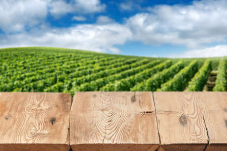 Wooden boards or table top against blurred vineyard under blue sky on background. Use as template for display or montage of your products. Close upの写真素材