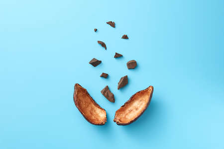 Raw chocolate and cocoa podの写真素材