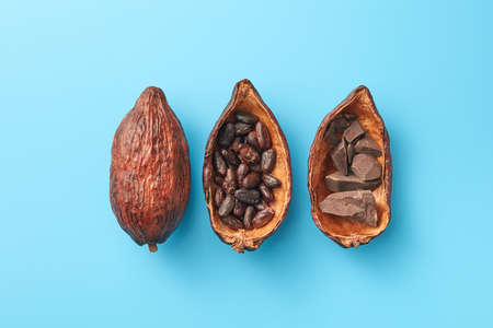 Steps of chocolate production in cocoa podsの写真素材
