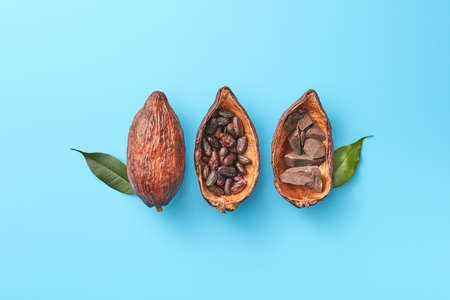 Cocoa pods with chocolate and beansの写真素材