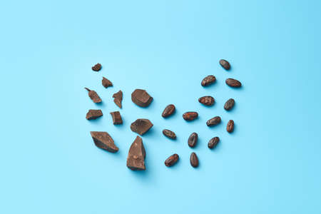 Chocolate pieces and cocoa beansの写真素材