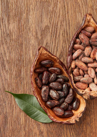 Organic cocoa beans in halved podsの写真素材