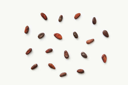 Scattered raw beans of cocoaの写真素材
